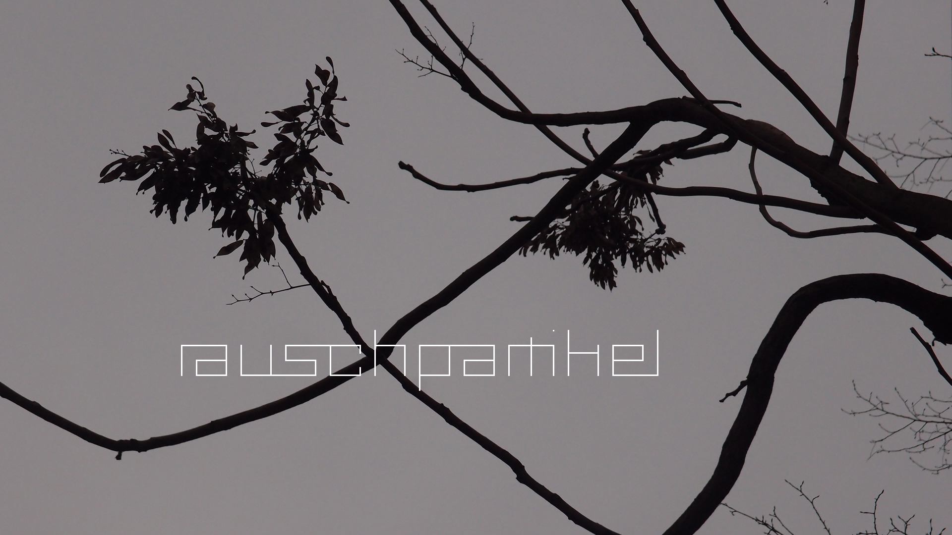 2021-01-06 - 08 Kühlgeträt (On/Off) (Remix John Cage - Empty Words IV)